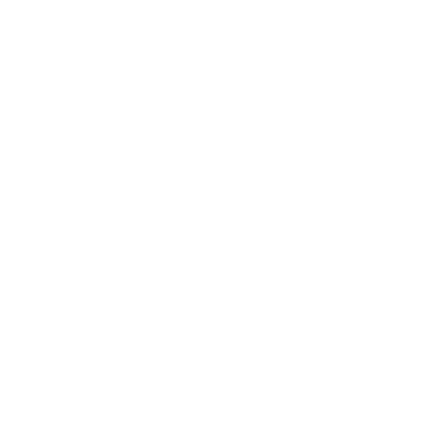 WordPress.com white
